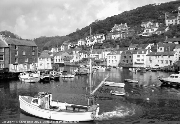 Polperro Harbour Picture Board by Chris Rose