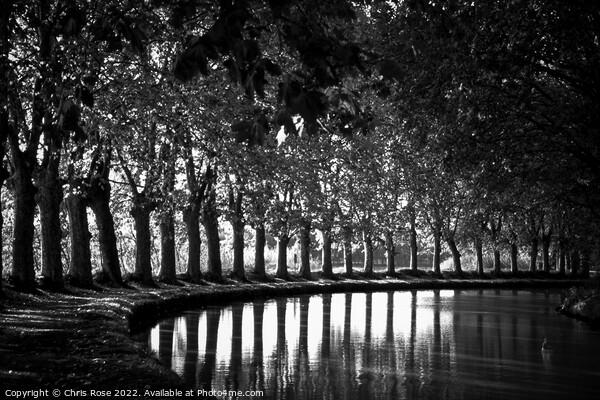 Canal du Midi at Capestang Picture Board by Chris Rose