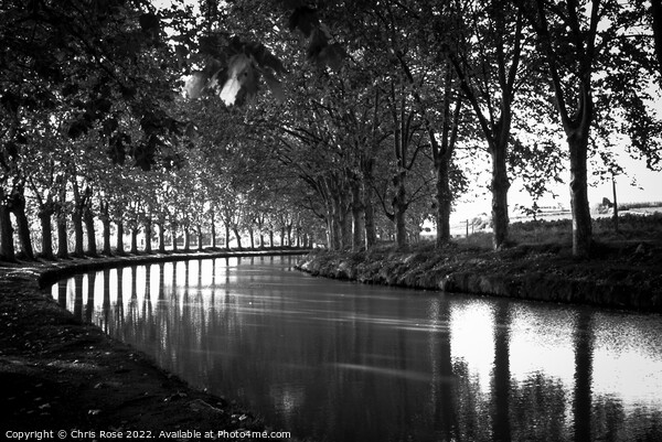 Canal du Midi, Capestang Picture Board by Chris Rose