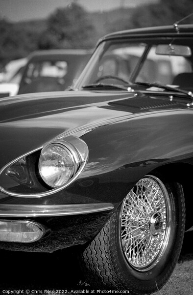 Jaguar E Type detail Picture Board by Chris Rose