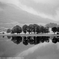 Buy canvas prints of Buttermere, Morning mist after rain by Chris Rose