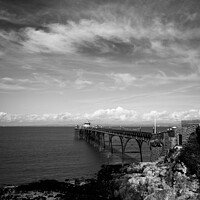 Buy canvas prints of Clevedon Pier by Chris Rose