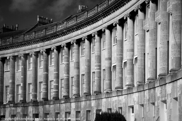 Bath, Royal Crescent Picture Board by Chris Rose