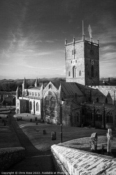 St Davids Cathedral Picture Board by Chris Rose
