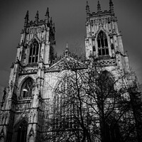 Buy canvas prints of York Minster, evening by Chris Rose