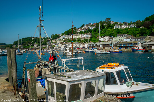 Looe Harbour summer sunshine Picture Board by Chris Rose