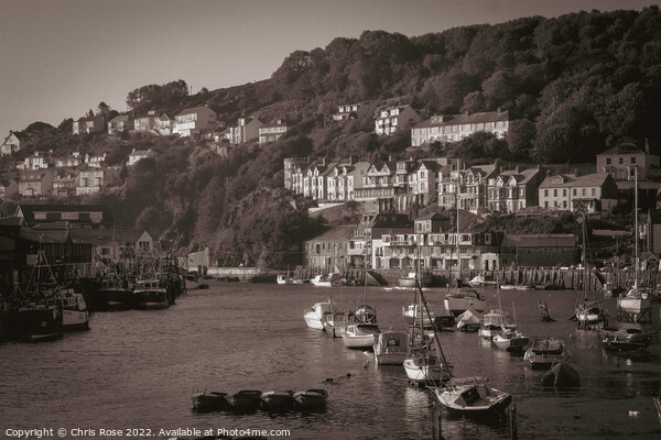 Looe harbour Picture Board by Chris Rose