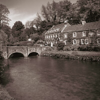 Buy canvas prints of River Coln, Bibury, Cotswolds by Chris Rose