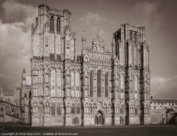 Wells Cathedral Picture Board by Chris Rose