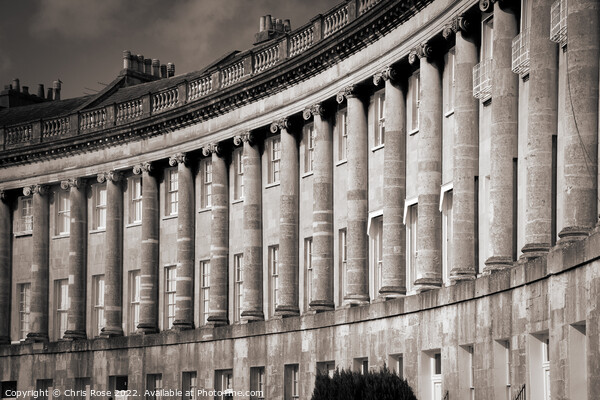 The Royal Crescent, Bath Picture Board by Chris Rose