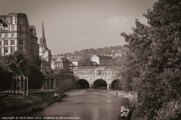 Bath, River Avon and Pulteney Bridge Picture Board by Chris Rose