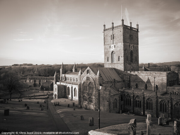 St Davids Cathedral Picture Board by Chris Rose