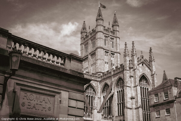 Bath Abbey and Roman Baths Picture Board by Chris Rose