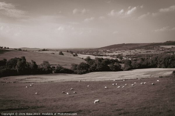 Cotswolds countryside near Winchcombe Picture Board by Chris Rose
