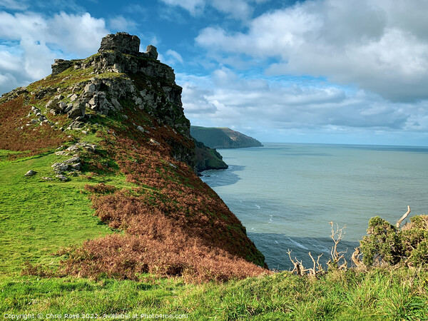 Valley of Rocks, North Devon. Picture Board by Chris Rose