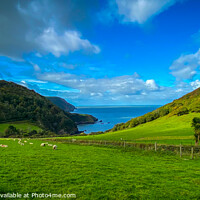 Buy canvas prints of North Devon coastal countryside by Chris Rose