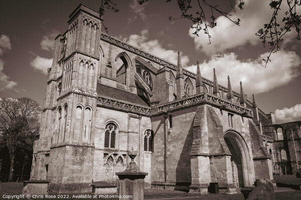 Malmesbury Abbey in spring Picture Board by Chris Rose