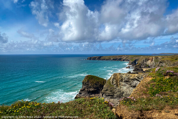 Bedruthan Steps cliffs, Cornwall Picture Board by Chris Rose