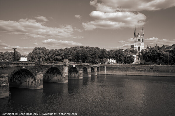 Angers, river and cathedral Picture Board by Chris Rose