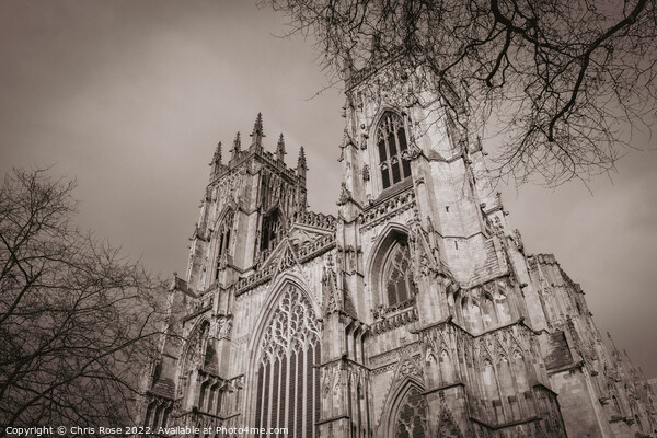 Spring, York Minster, UK Picture Board by Chris Rose