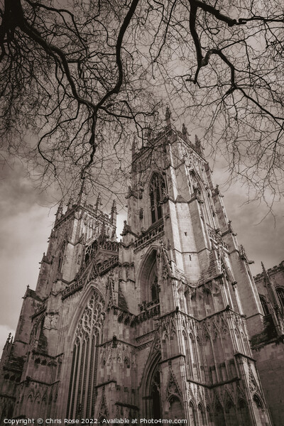 York Minster, spring. Picture Board by Chris Rose