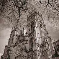 Buy canvas prints of York Minster, spring. by Chris Rose