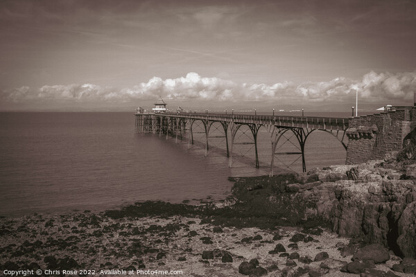 The Victorian pier at Clevedon, Somerset, UK Picture Board by Chris Rose
