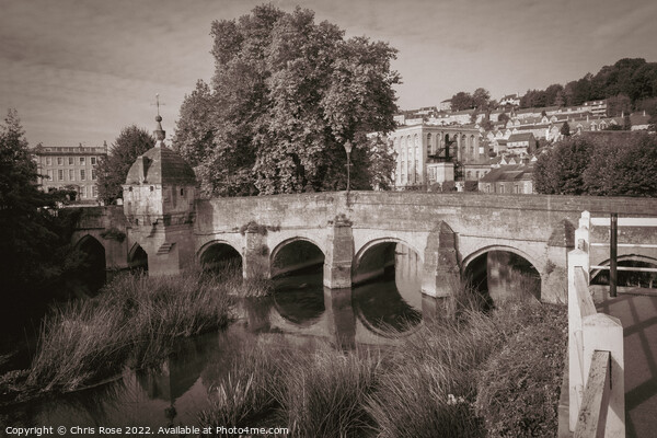 Bradford on Avon, Wiltshire, UK Picture Board by Chris Rose