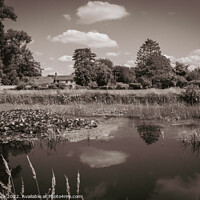 Buy canvas prints of Frampton on Severn.  Village green and ponds. by Chris Rose