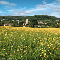 Buy canvas prints of Spring buttercups field landscape by Chris Rose
