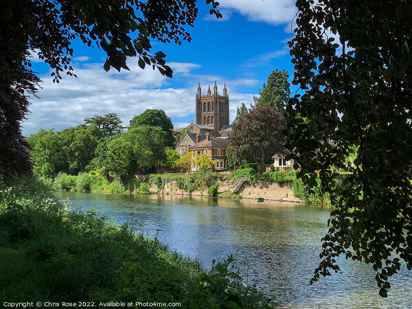 River Wye and Hereford Cathedral Picture Board by Chris Rose