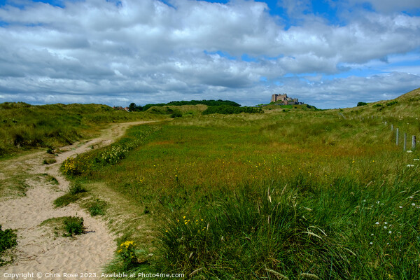 Bamburgh Castle glimpsed in the distance from the  Picture Board by Chris Rose