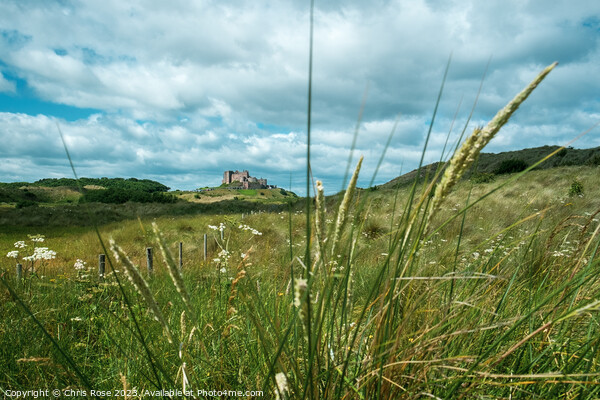 Bamburgh Castle glimpsed in the distance Picture Board by Chris Rose
