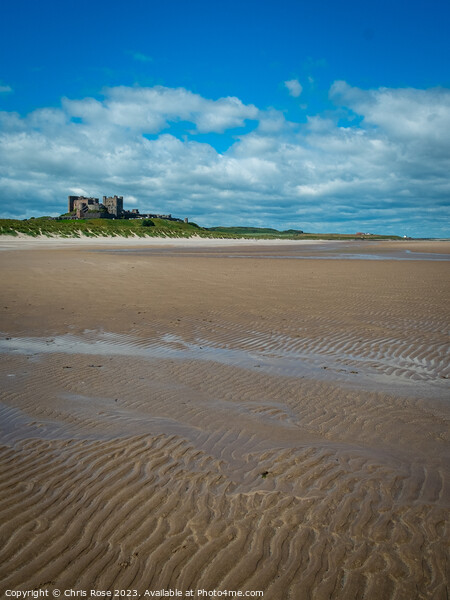 Bamburgh Castle on the horizon above Bamburgh beac Picture Board by Chris Rose