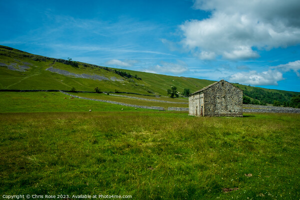 Countryside around Kettlewell, Upper Wharfedale Picture Board by Chris Rose