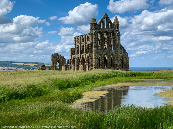 Whitby Abbey Picture Board by Chris Rose