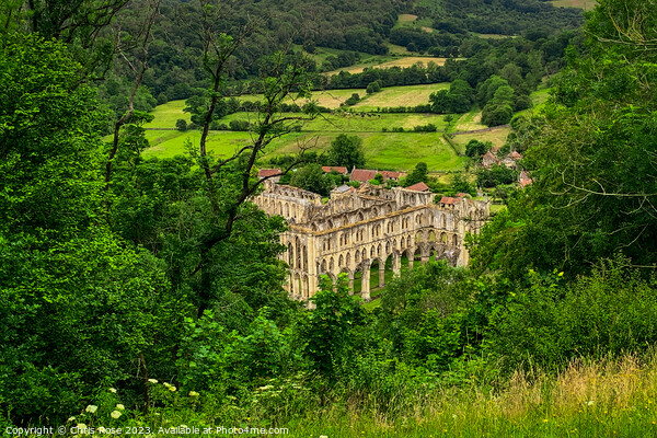Rievaulx Abbey Picture Board by Chris Rose