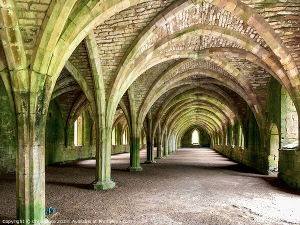Fountains Abbey cellarium Picture Board by Chris Rose