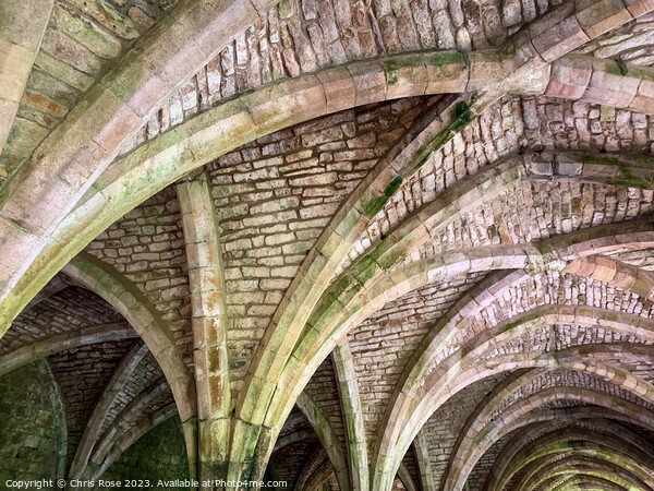 Fountains Abbey cellarium Picture Board by Chris Rose