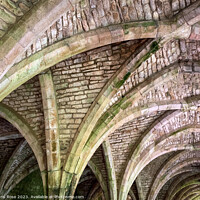 Buy canvas prints of Fountains Abbey cellarium by Chris Rose