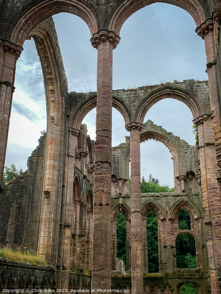Fountains Abbey columns Picture Board by Chris Rose