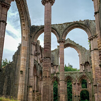 Buy canvas prints of Fountains Abbey columns by Chris Rose
