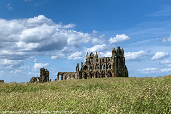 Whitby Abbey Picture Board by Chris Rose