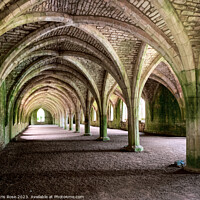 Buy canvas prints of Fountains Abbey cellarium by Chris Rose
