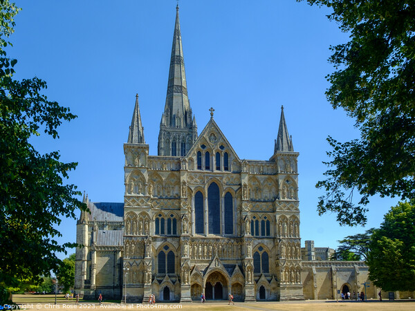 Salisbury Cathedral Picture Board by Chris Rose
