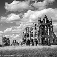 Buy canvas prints of Whitby Abbey by Chris Rose