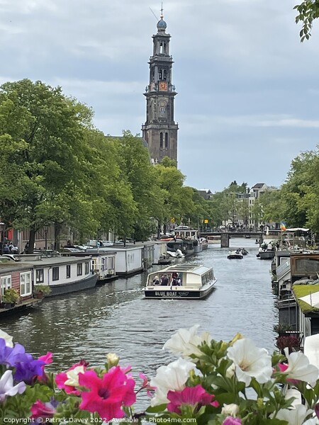 Amsterdam canals in summer Picture Board by Patrick Davey