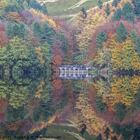 Buy canvas prints of Serene Autumn Bliss by Steven Nokes