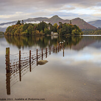 Buy canvas prints of Seagulls at Derwent Water by Steven Nokes