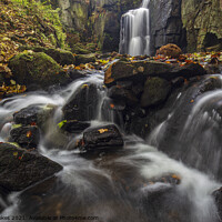 Buy canvas prints of A Serene Autumnal Waterfall by Steven Nokes